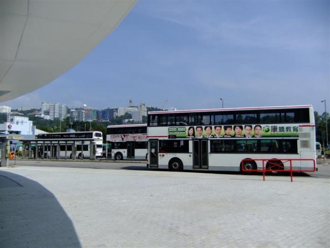DSCF9566 (Medium).JPG